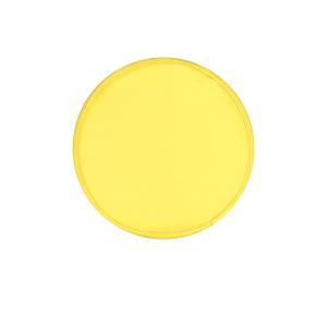 Frisbee Watson, žltá