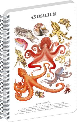 Linajkový notes hlavonožce Animalium linajkovaný