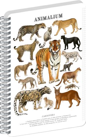 NOTIQUE Špirálový blok Animalium – Mačkovité šelmy, štvorčekovaný, A5