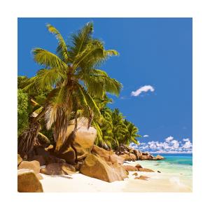 Nástenné kalendár Tropické pláže 2018 (2)