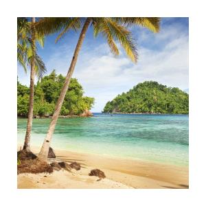 Nástenné kalendár Tropické pláže 2018 (5)