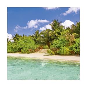 Nástenné kalendár Tropické pláže 2018 (11)