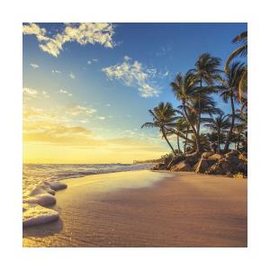Nástenné kalendár Tropické pláže 2018 (12)