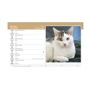 Kalendár na stôl Mačky 2018 (2)