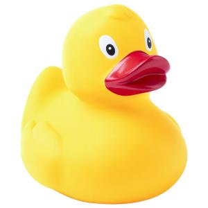 Kačička Koldy, žltá