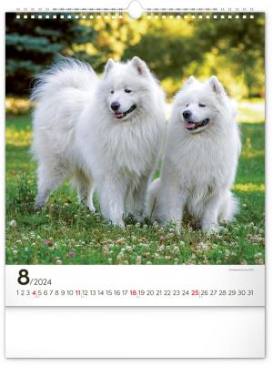 Nástenný kalendár Psy 2024 PG (9)