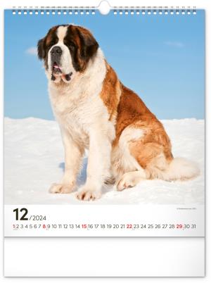 Nástenný kalendár Psy 2024 PG (13)