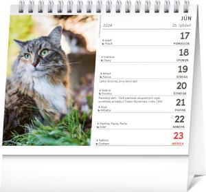 Stolový kalendár Mačky – s menami mačiek 2024 PG (2)