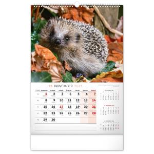 Nástenný kalendár Poľovnícky SK 2021 (5)