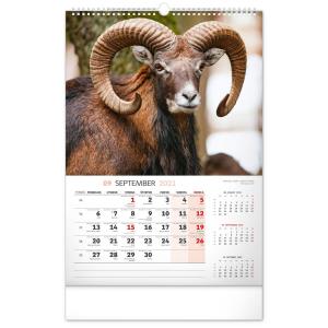 Nástenný kalendár Poľovnícky SK 2021 (7)