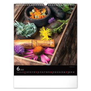 Nástenný kalendár Korenie a bylinky 2021 (10)