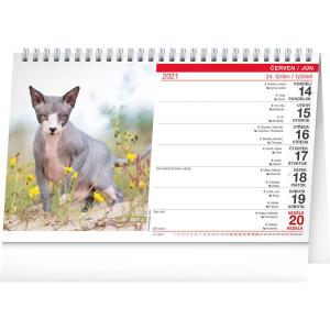 Stolový kalendár Kočky – Mačky CZ/SK 2021 (2)
