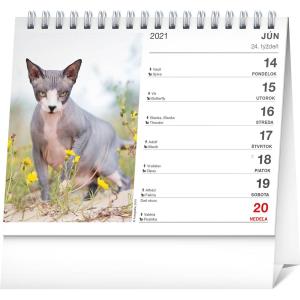 Stolový kalendár Mačky – s menami mačiek 2021 (2)